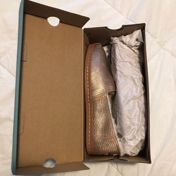 Toms Shoes - TOMS Slip-ons